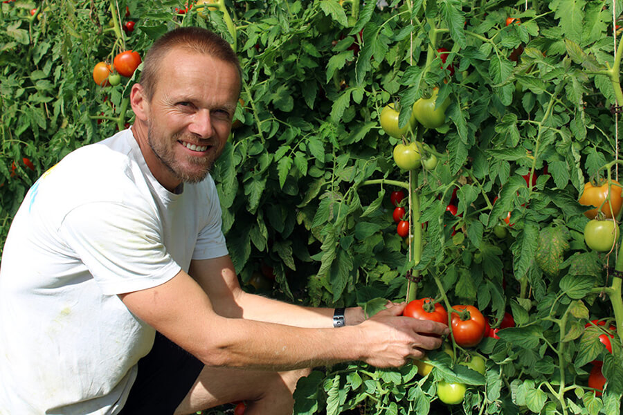 Raphaël Paquet propose des légumes bio à Les Fossés