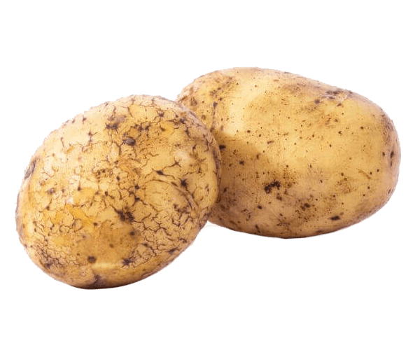 Patates bio à Les Fossés
