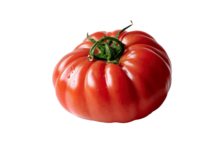 Tomate bio à Les Fossés